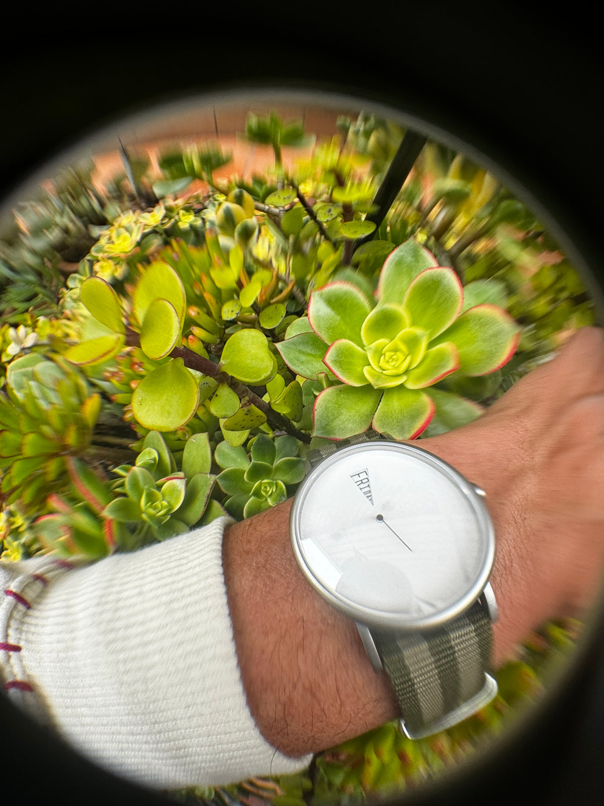 Daywatch - The Point